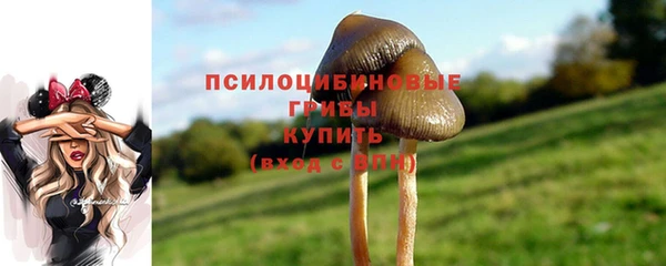 скорость Армянск