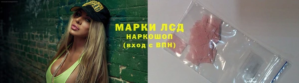 гидра Аркадак