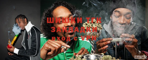 гидра Аркадак